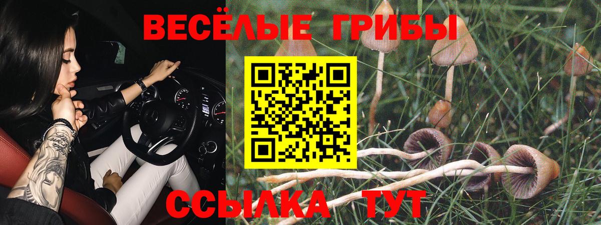 Канаш  Псилоцибиновые грибы Magic Shrooms  Вход с VPN 